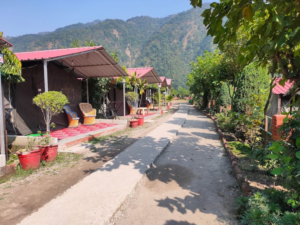 wondrous-camp-in-rishikesh